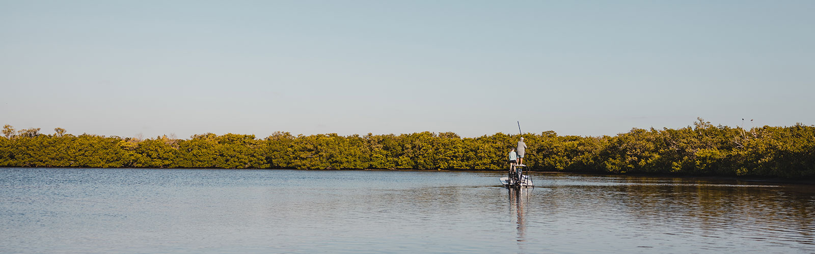 2022 Conservation Recap