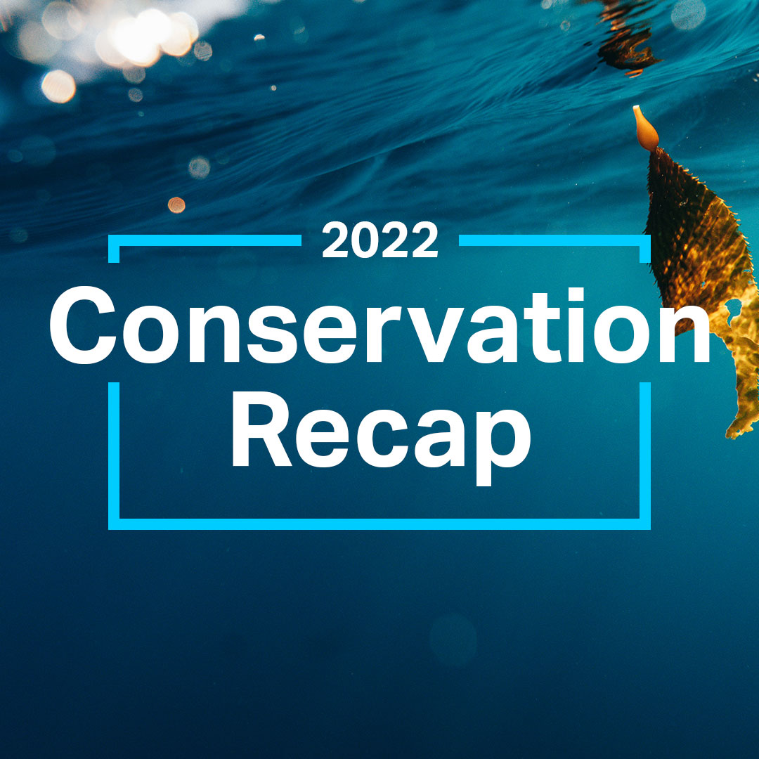 2022 Conservation Recap