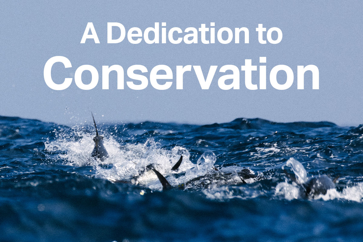 Conservation