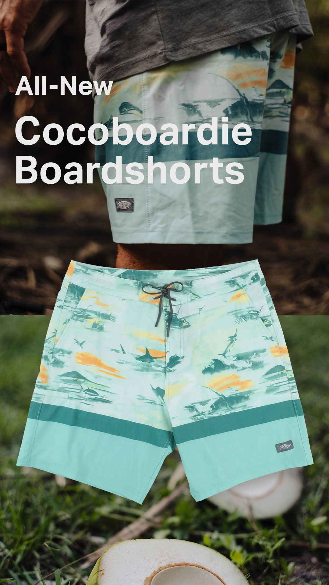 Cocoboardies