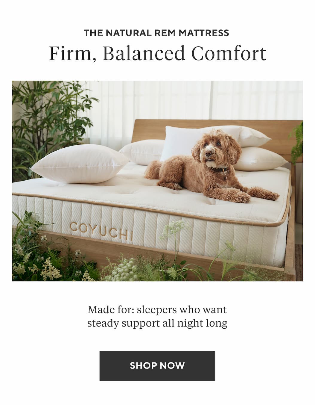 The Natural REM Mattress FIRM, BALANCED COMFORT  Made for: sleepers who want steady support all night long Shop Now >