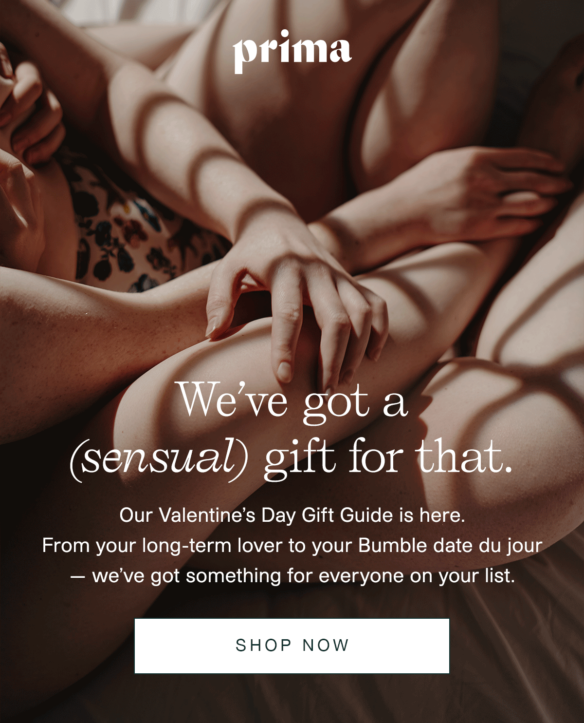 We've got a (sensual) gift for that. | Our Valentine's Day Gift Guide is here. From your long-term lover to your Bumble date du jour — we've got something for everyone on your list. | Shop Now