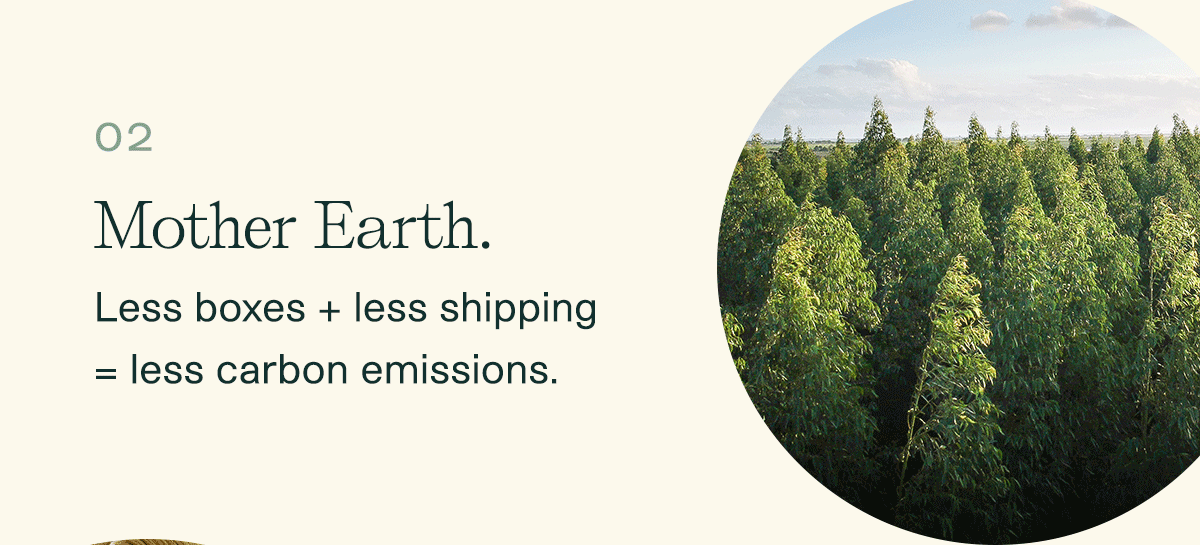 2. Mother Earth. | Less boxes + less shipping = less carbon emissions.