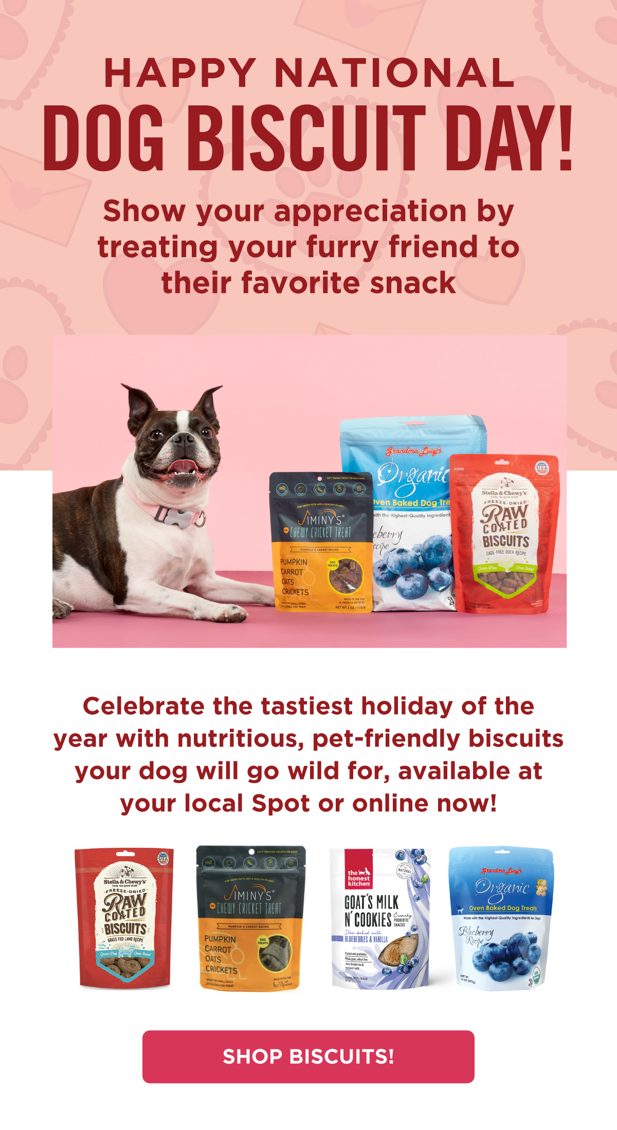 It's National Dog Biscuit Day! 🐶🍪 Healthy Spot