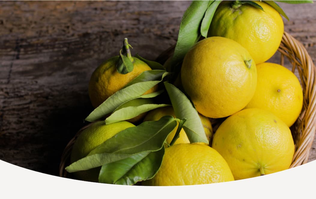 Save 54% on OMI Italian Citrus Bergamot Metabolic Health with code DAILYDEAL