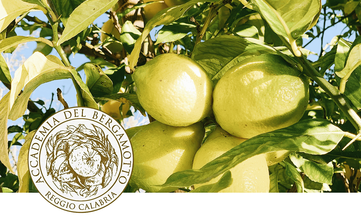 Adcademia Del Bergamotto Award Crest