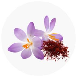 unique and patented form of saffron, called Surpesa