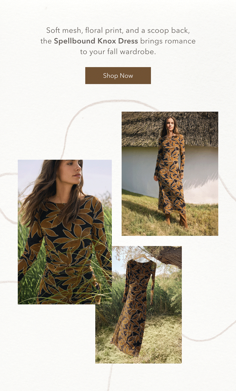 Soft mesh, floral print, and a scoop back, the Spellbound Knox Dress brings romance to your fall wardrobe. Shop now.