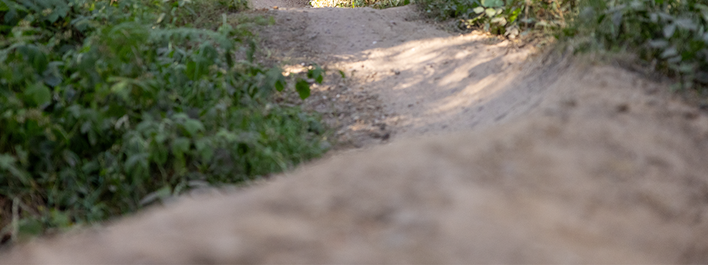 Shop Sonder bike clearance