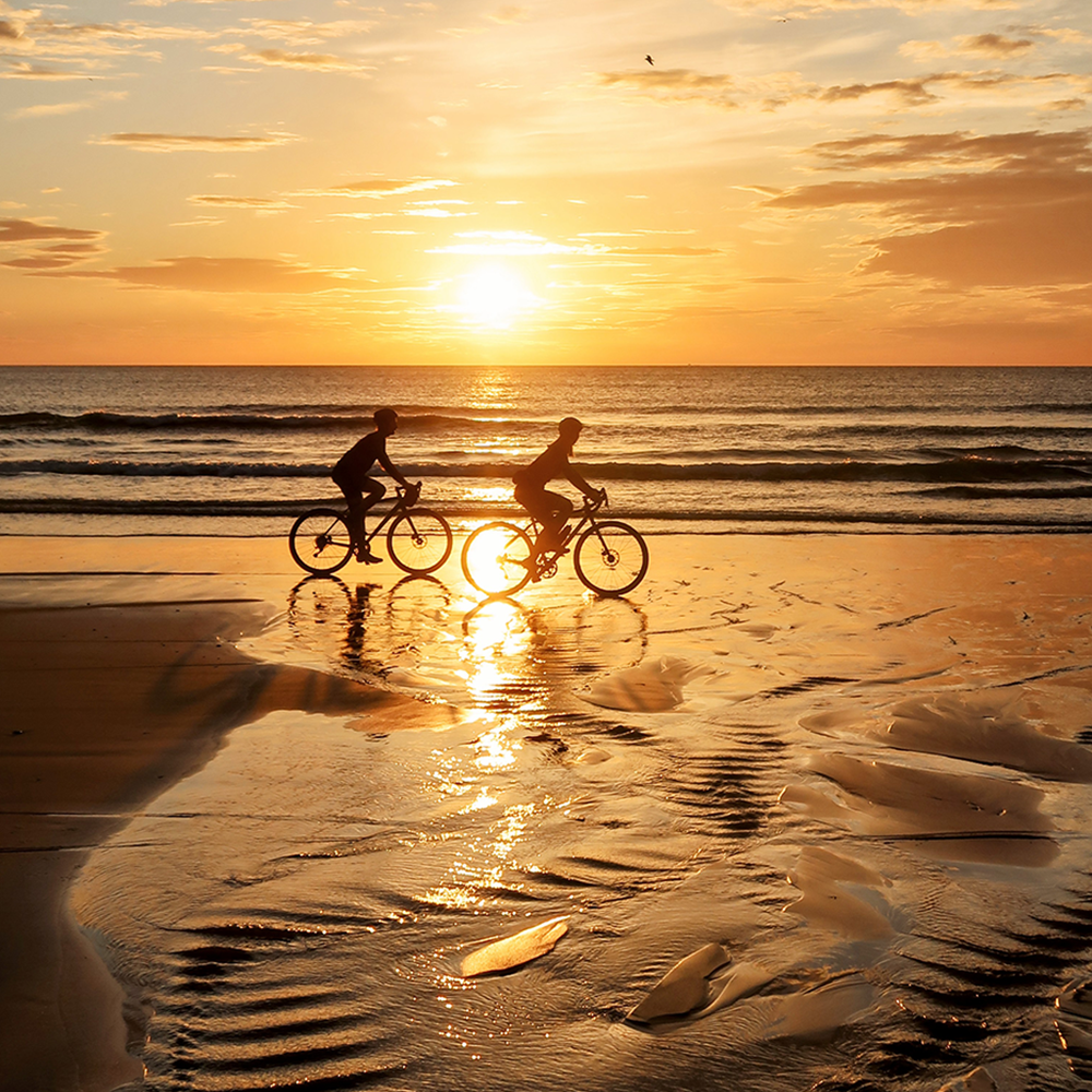 Read: Sonder gravel rounds for your first Camino ride.