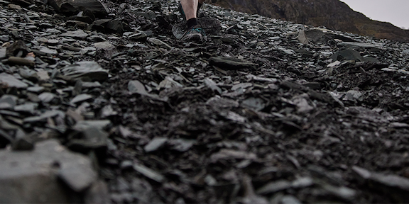 Shop The Dirty Dozen