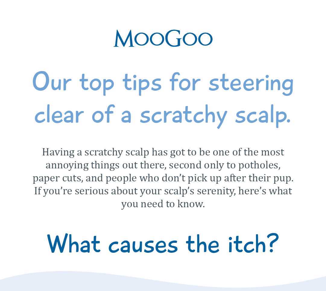 Scratchy Scalp? Here's why. 🚿 Moo Goo Skin Care