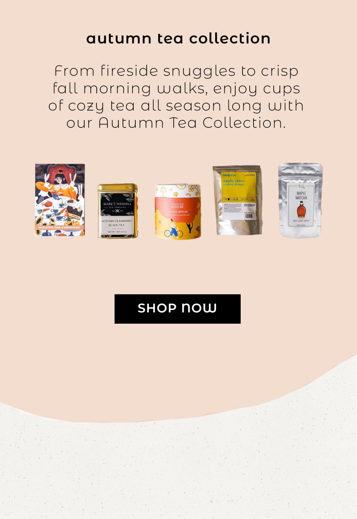 NEW Autumn Tea Box & Collection Sips by