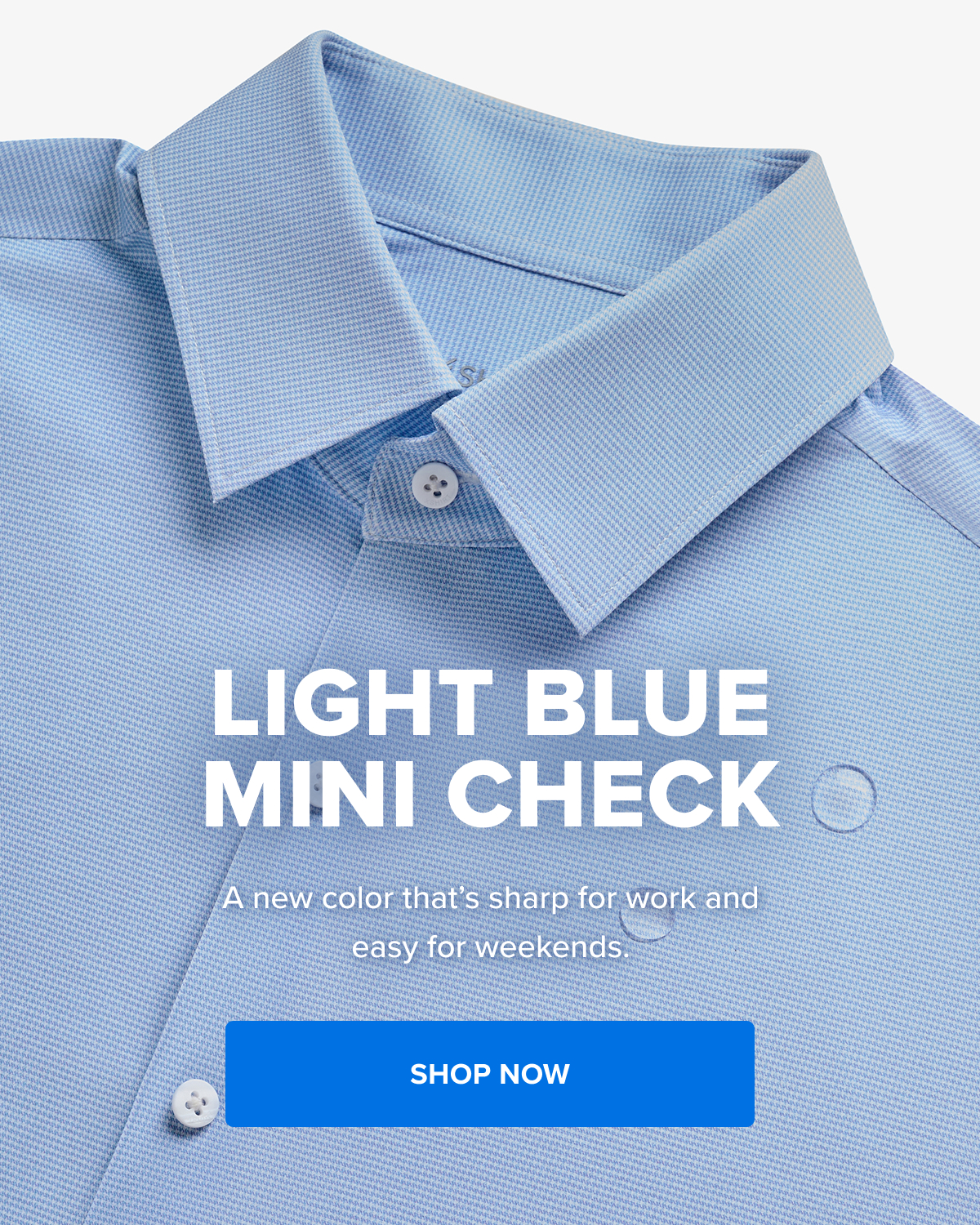 Light blue mini check