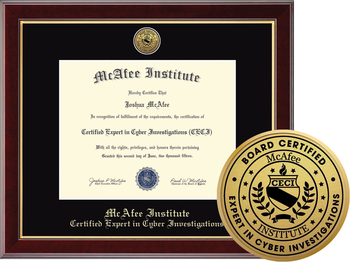 CERTIFIED EXPERT IN CYBER INVESTIGATIONS (CECI)
