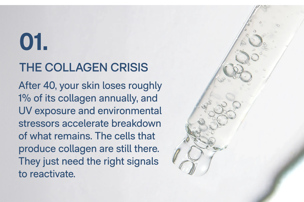 01. The Collagen Crisis