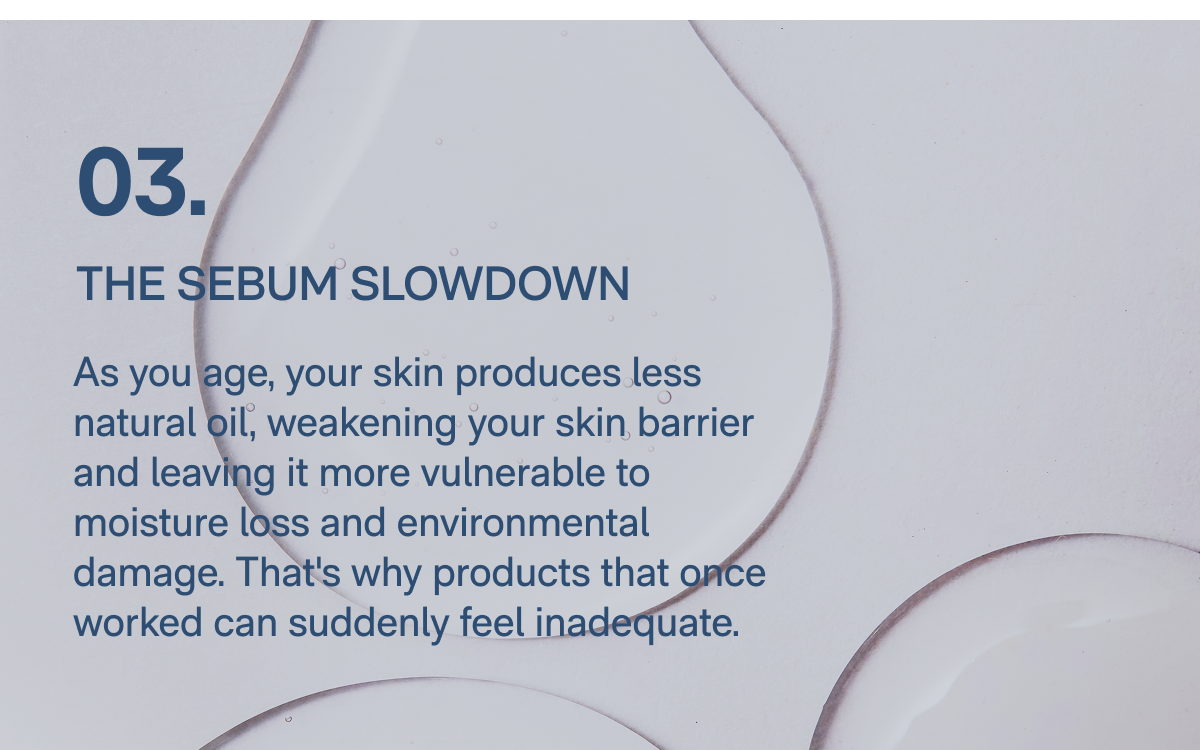 03. The Sebum Slowdown