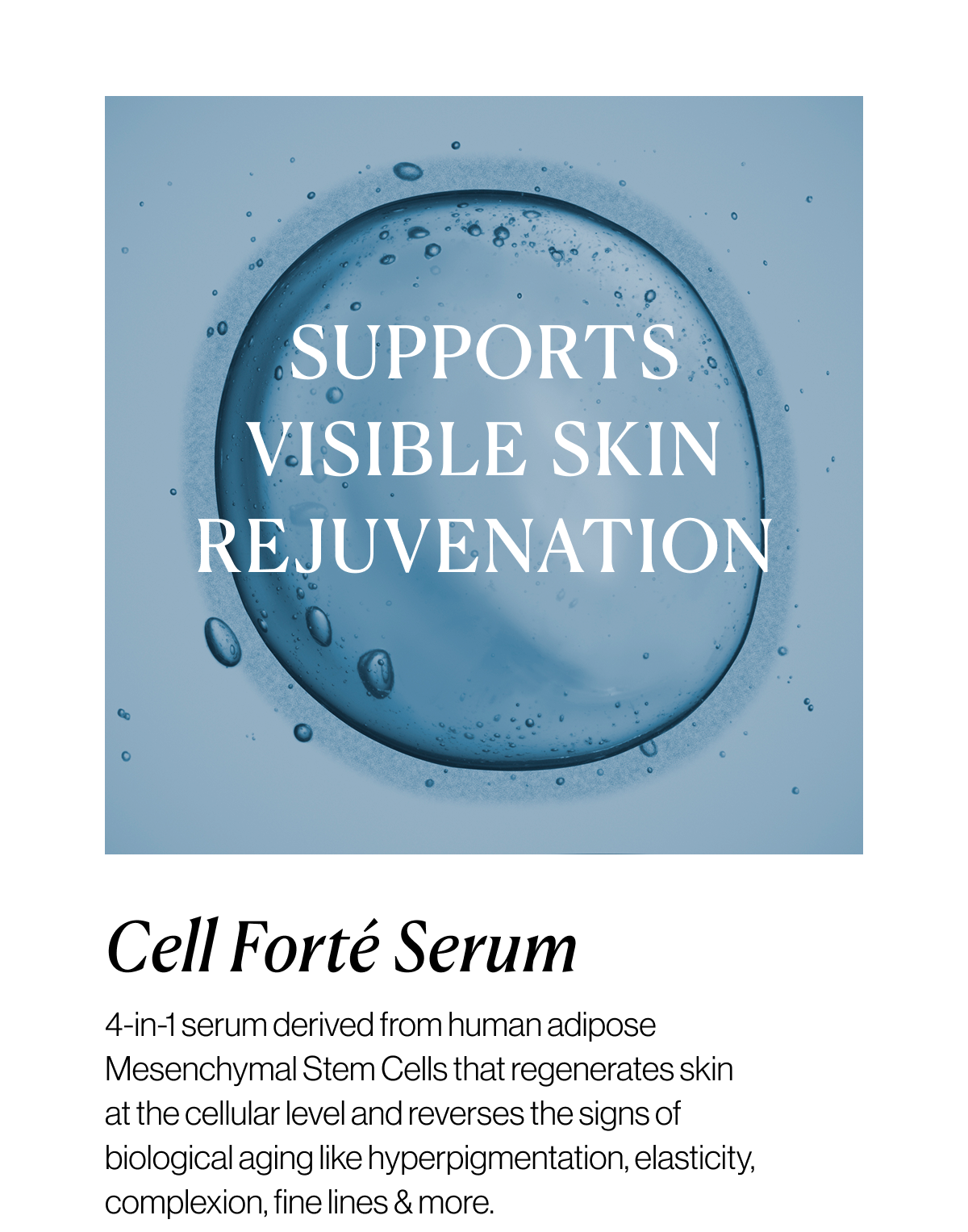 Supports Visible Skin Rejuvenation - Cell Forté Serum