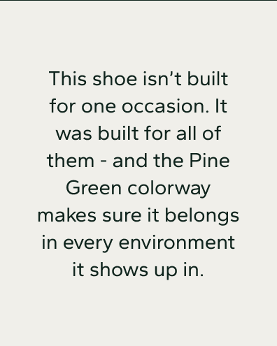 This shoe isn't built for one occassion.