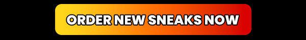order new sneakers now