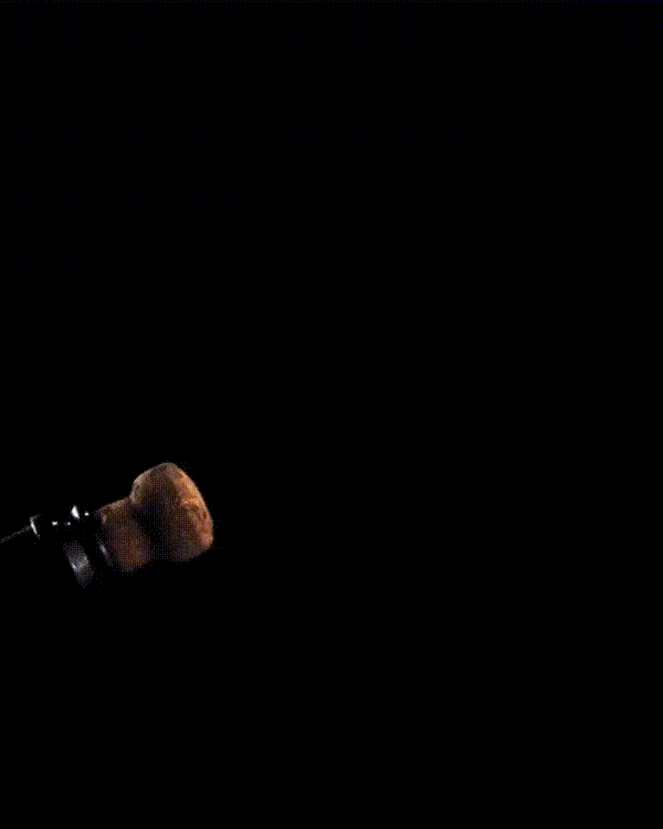 The Champagne Low Top 