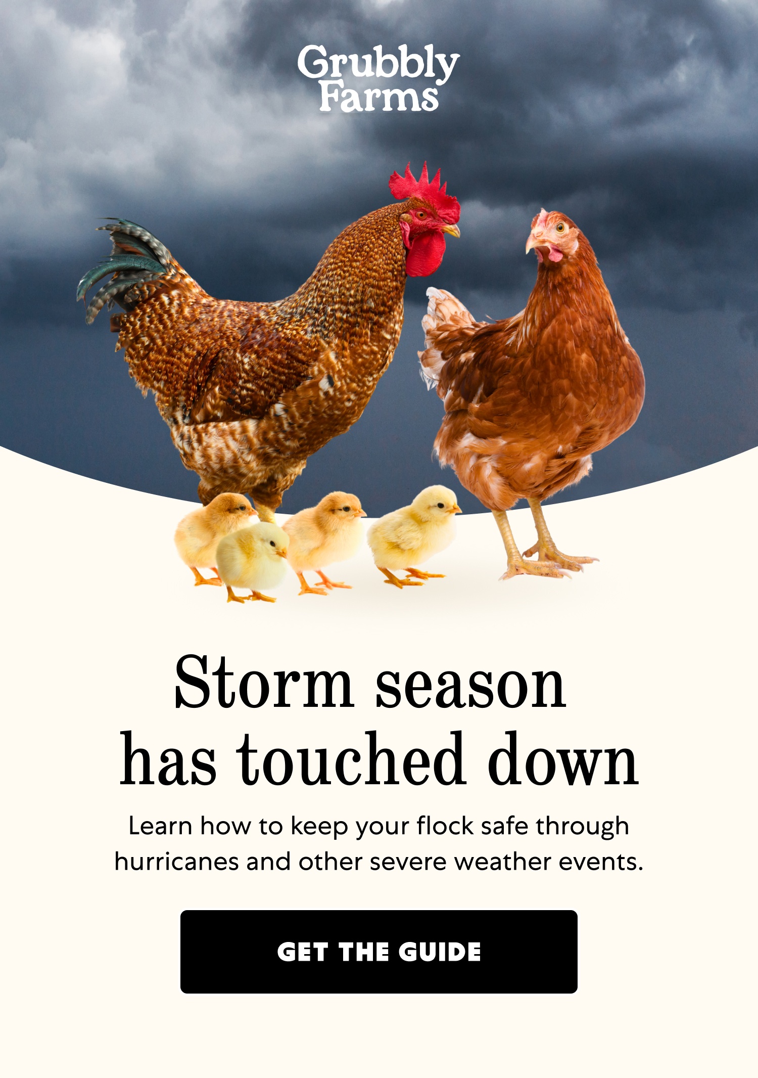 Storm season has touched down Learn how to keep your flock safe through hurricanes and other severe weather events. Get the Guide