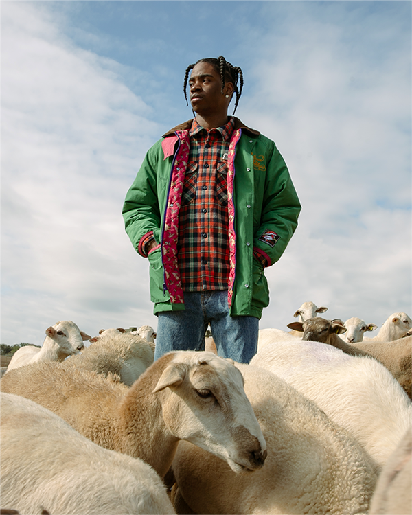 BBC Pre-Spring 25