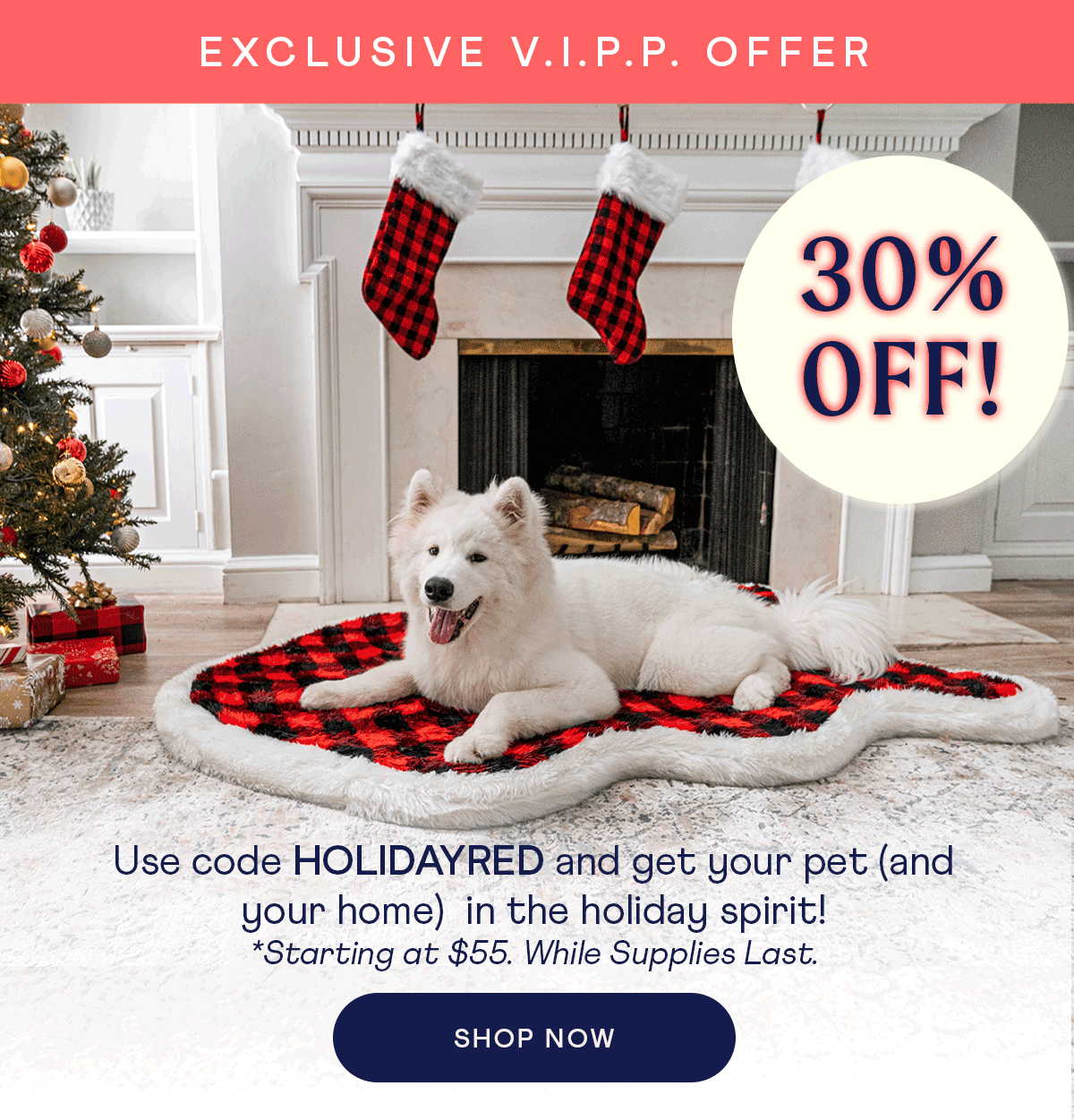 Hey VIPP, Exclusive Holiday Deal Inside! Paw