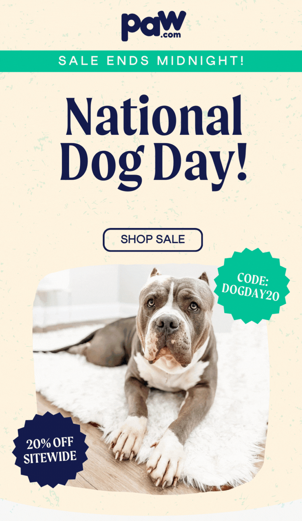 Surprised Dog Animated Gif