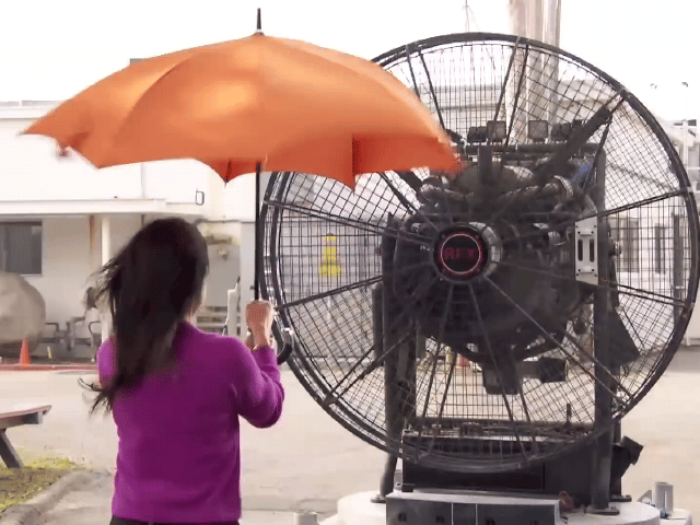 Davek Umbrellas