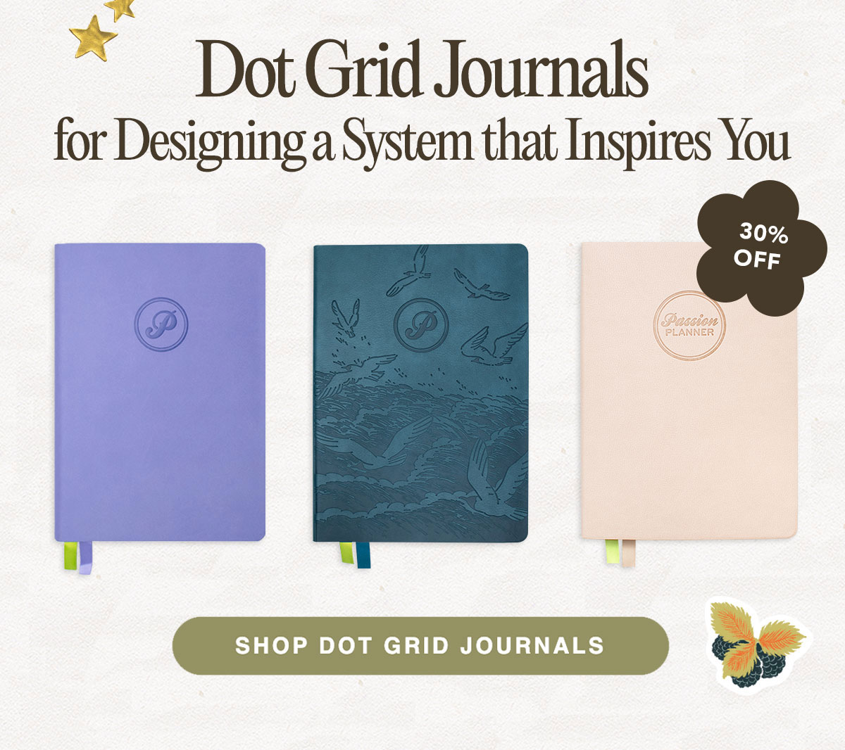 Passion Journals for Designing a System that Inspires You
