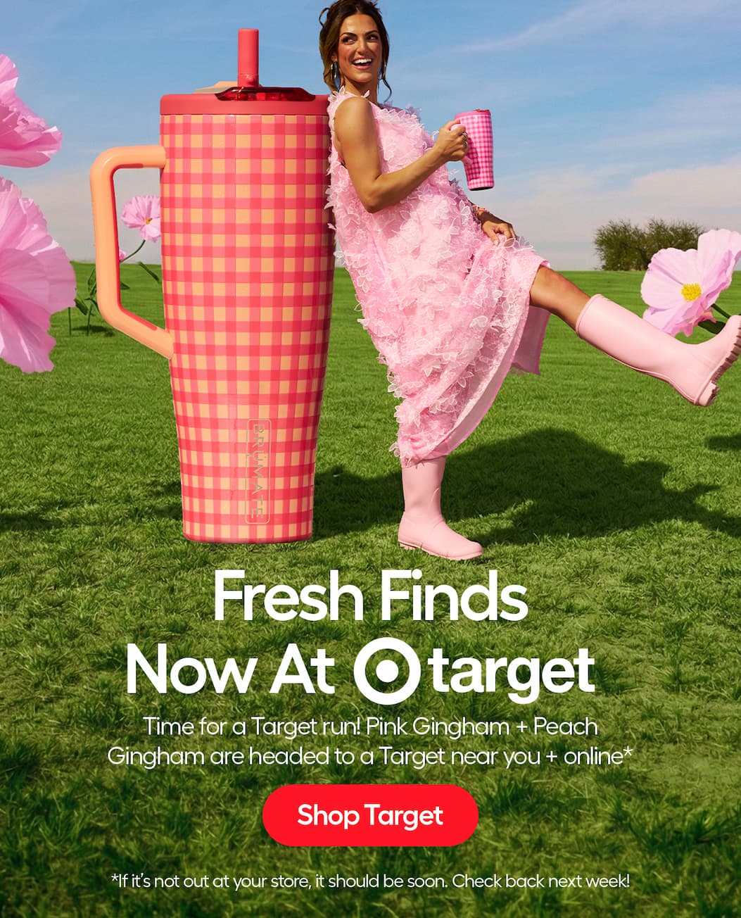 Pink Gingham + Peach Gingham ar now at a Target near you!