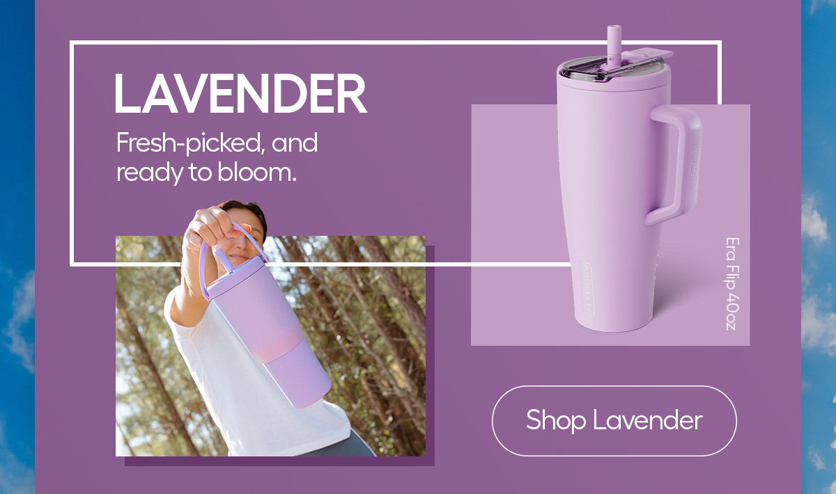 Fresh-picked and ready to bloom - Shop Lavender