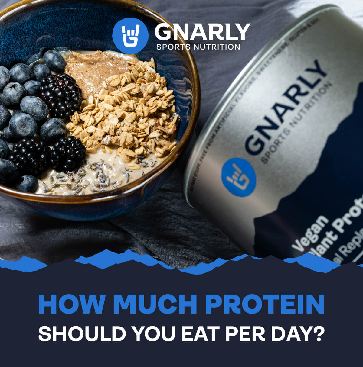 How much protein should you eat per day? Gnarly Nutrition