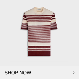 Striped Short-Sleeve Crewneck Sweater