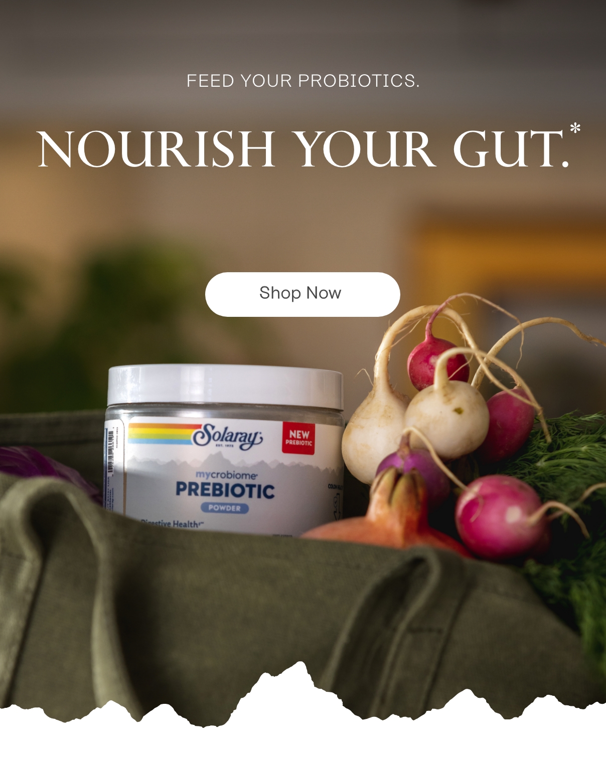 What Are Prebiotics & Do You Need Them? Solaray