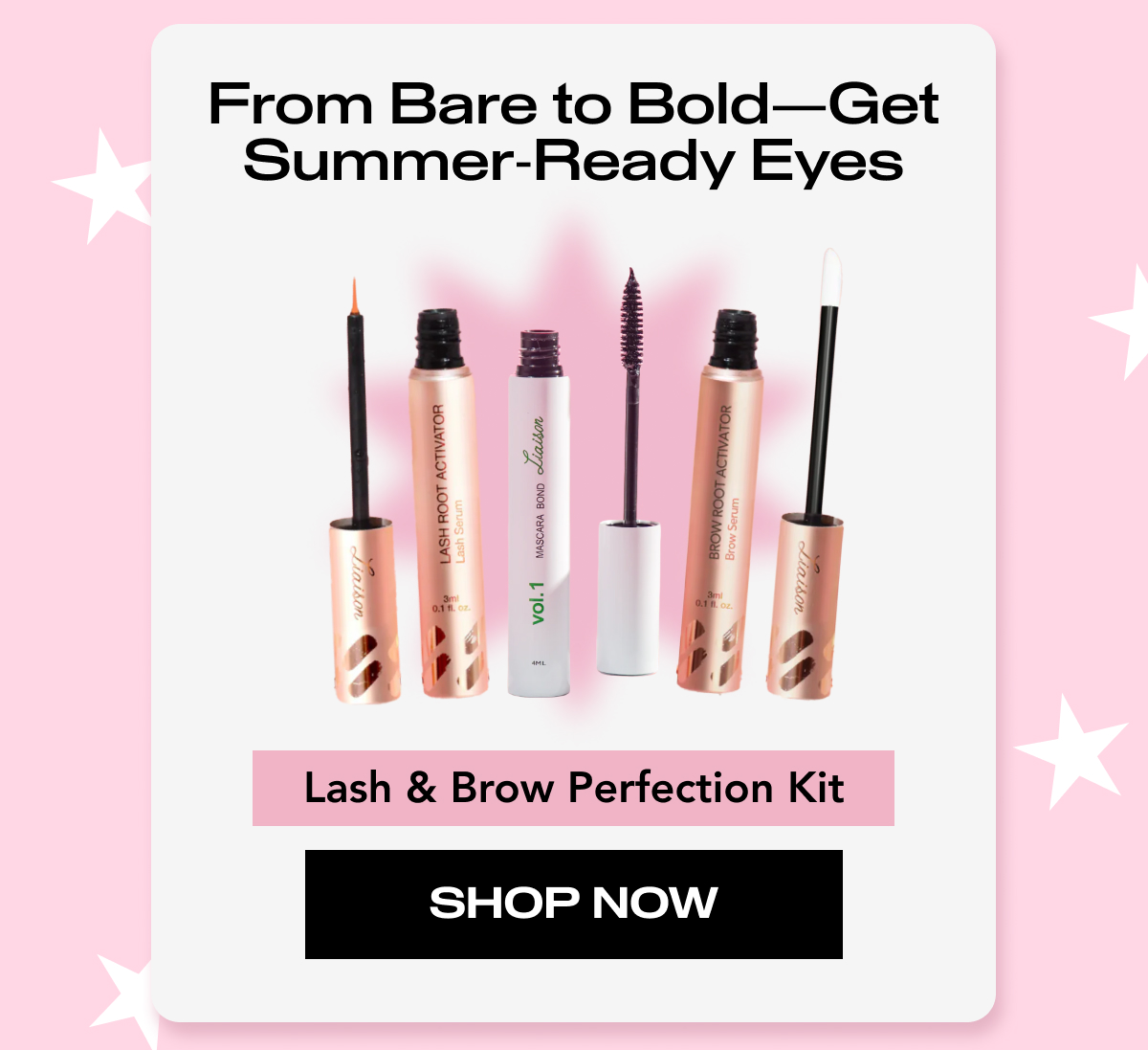 Lash & Brow Perfection Kit
