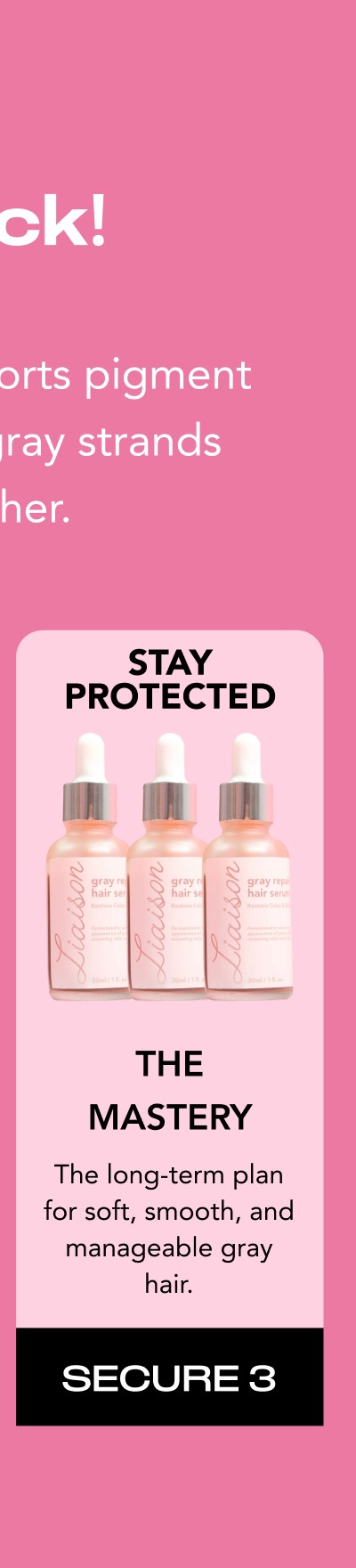 The Mastery- The long-term plan for soft, smooth, and manageable gray hair.