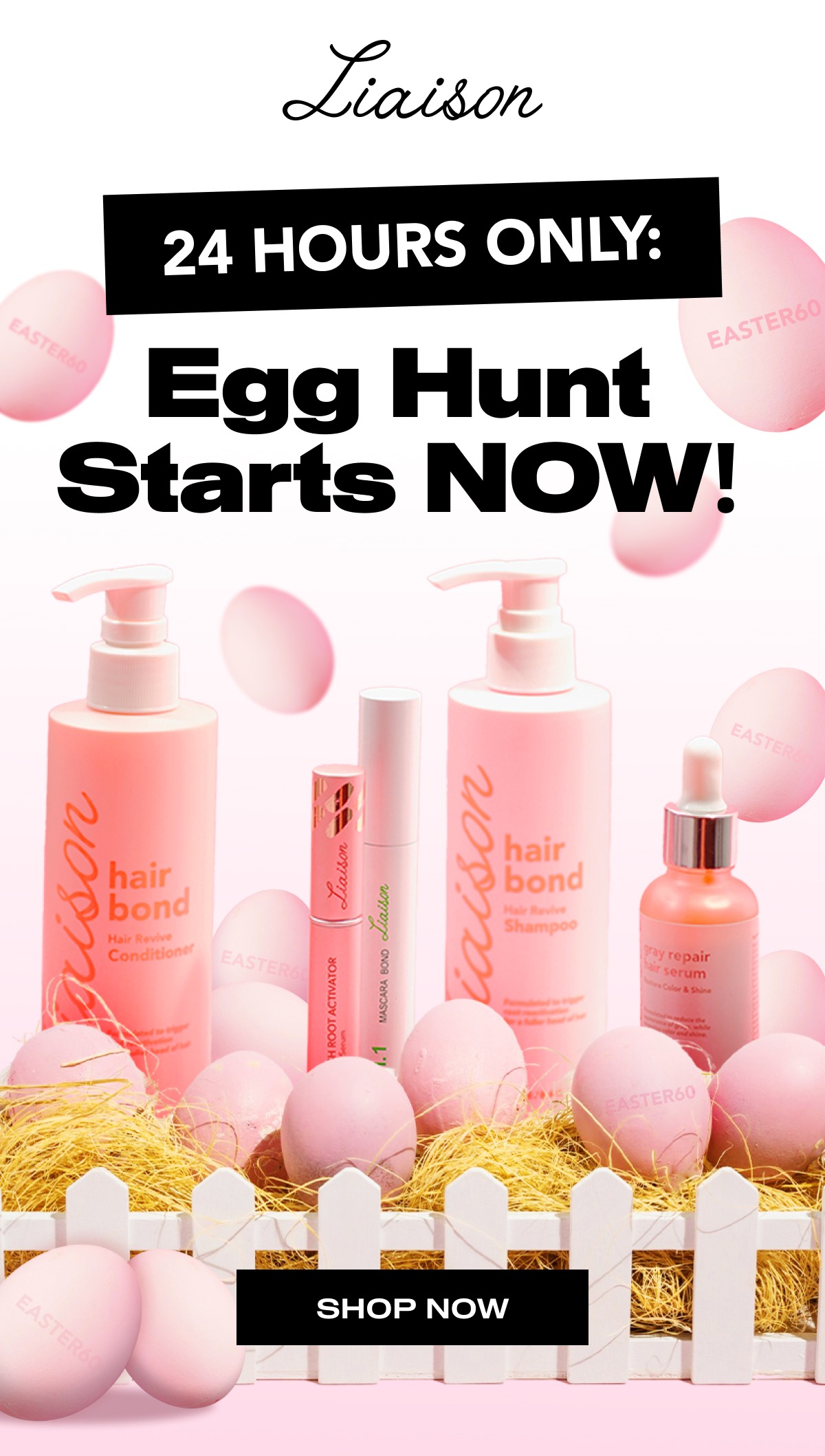 Egg Hunt Starts NOW!