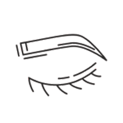 Liasion eye icon