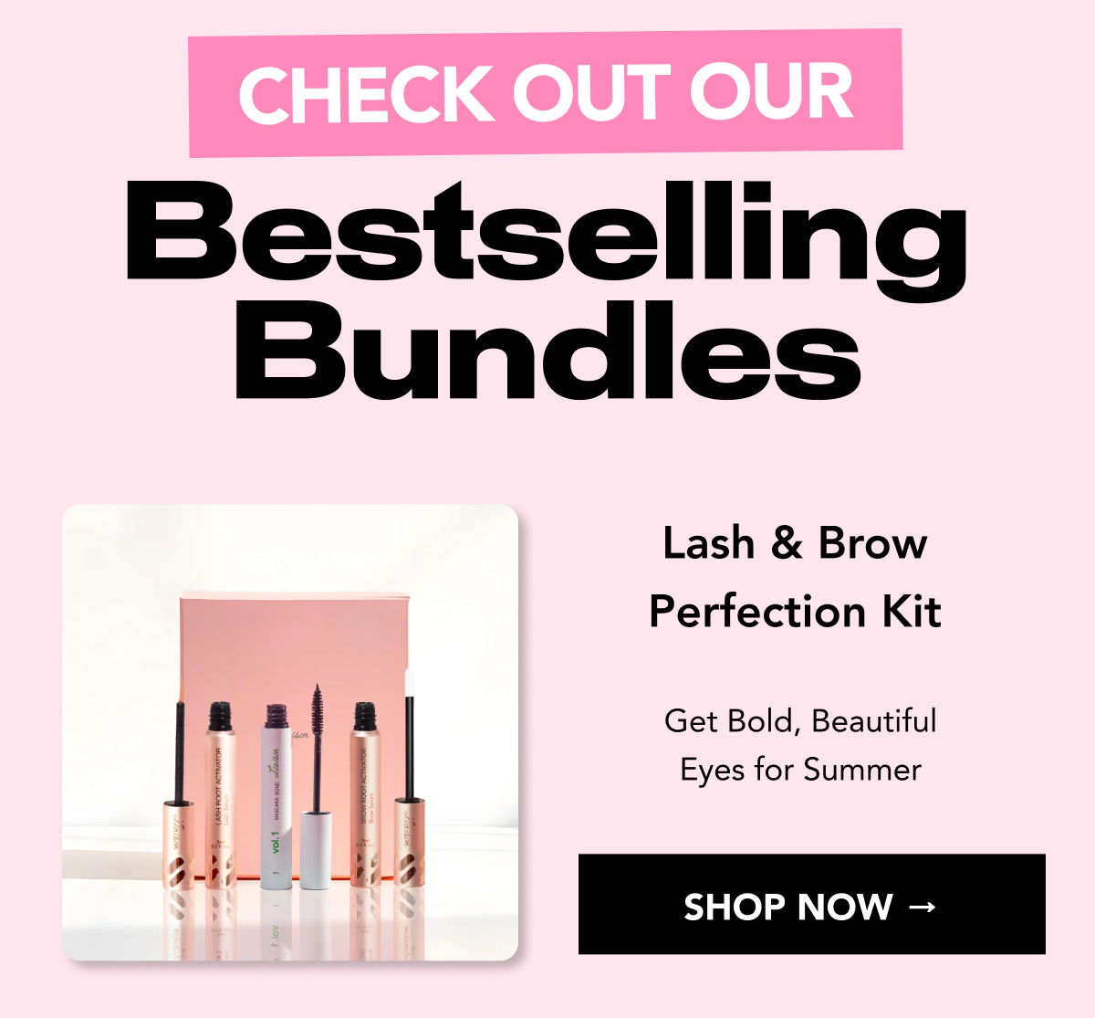 Lash & Brow Perfection Kit