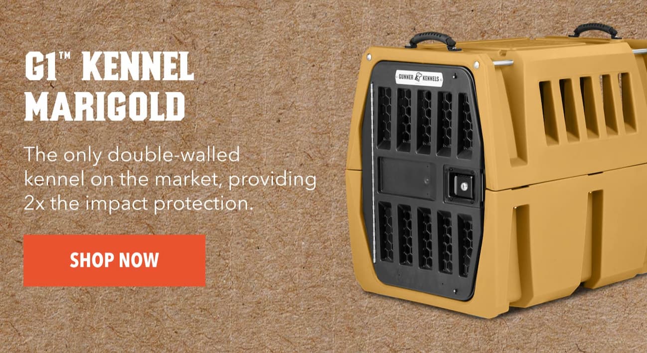 G1™ KENNEL MARIGOLD