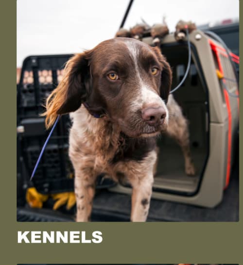 Kennels