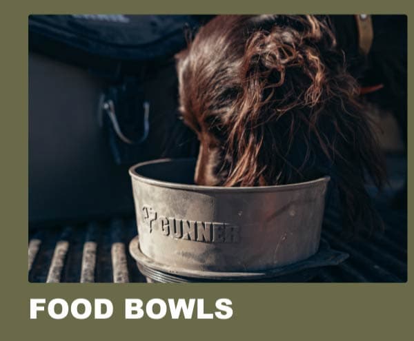 Food Bowls