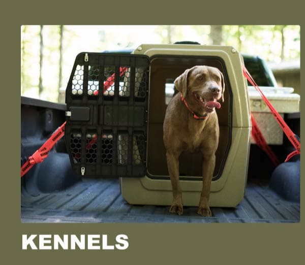 Kennels