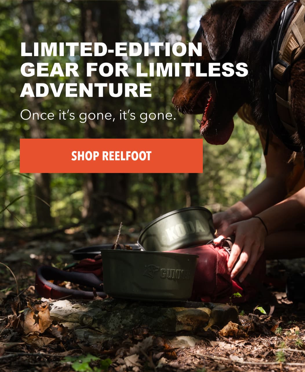 The Sixth Release in our Flyway Series