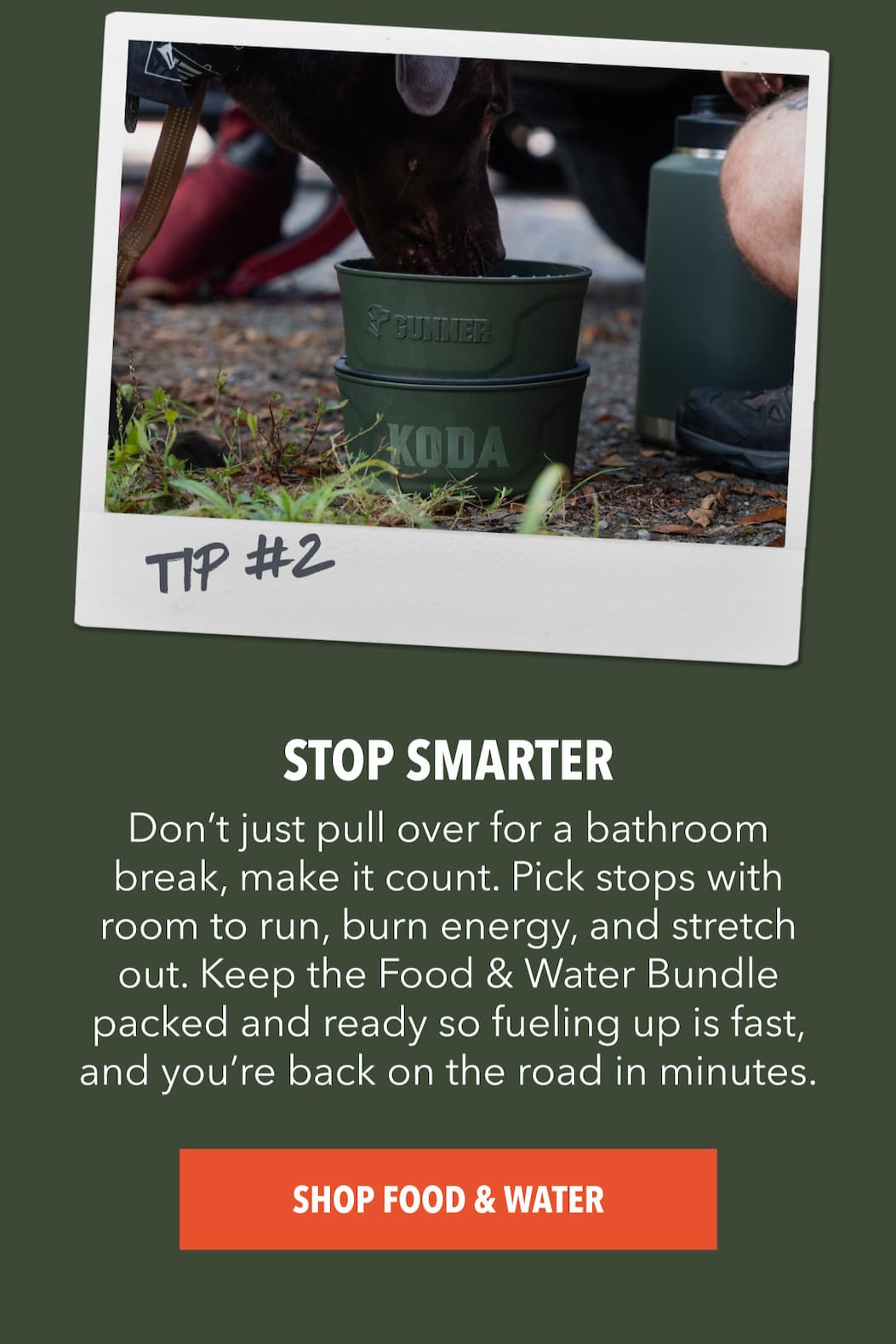 Discover the full collection