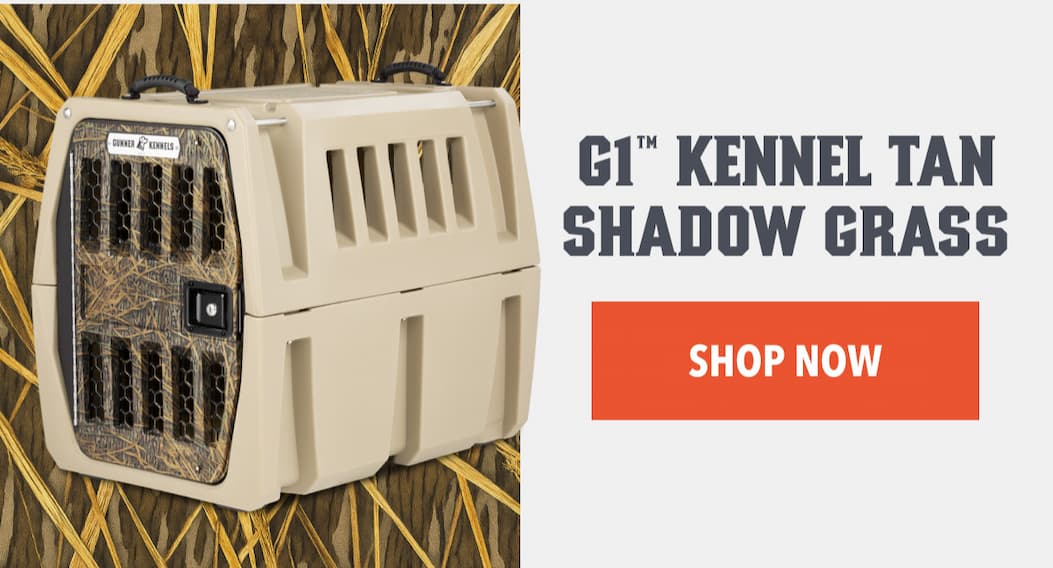 Tips to beat the heat