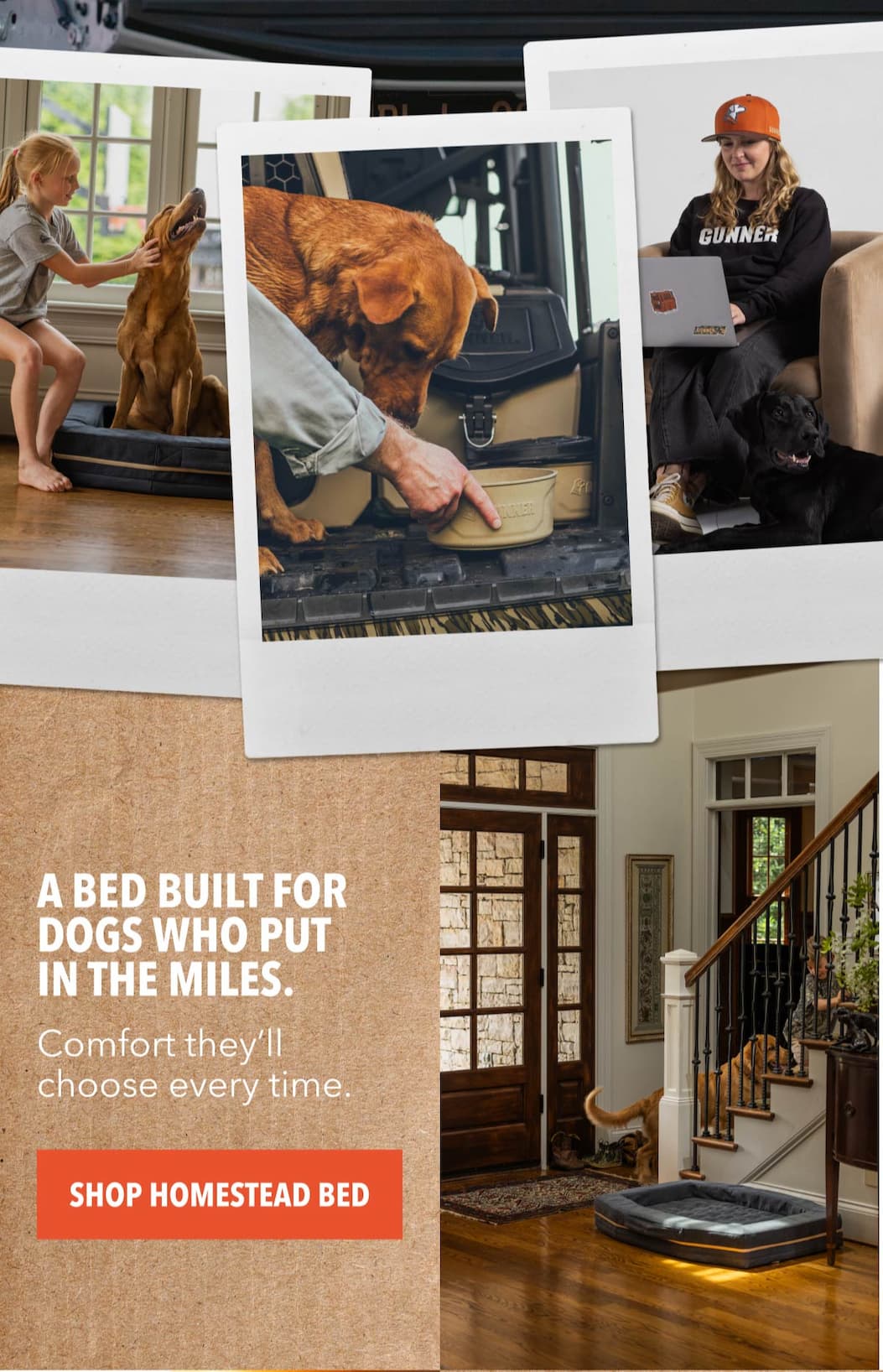 A bed built for dogs who put in the miles.