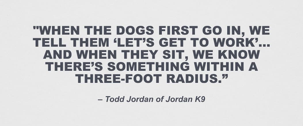 Learn More about Jordan K9